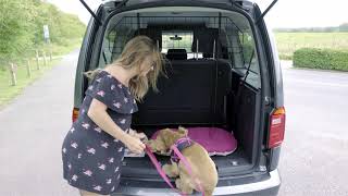 Comment bien attacher son chien en voiture   ELLE X Volkswagen  ELLE Belgique [upl. by Ondine]