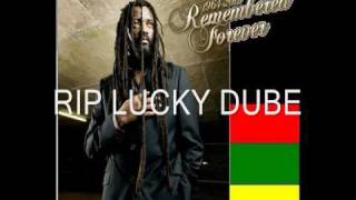 Lucky Dube  Nobody Can Stop Reggae [upl. by Notselrahc908]