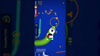 🐍 WORMS ZONE MAGIC 🐍  BIGGEST SNAKE 11 shots [upl. by Alanson918]