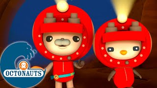 Octonauts  Le siphonophore et les ours aquatiques  Dessins animés pour enfants [upl. by Llerdna112]