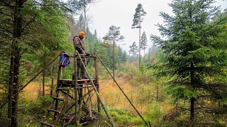 Jakten i Halland föredrag med Leif Häggström [upl. by Tomas]