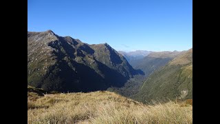 Fiordland Wapiti Hunt  Edith 2024 4th Period [upl. by Lladnew852]