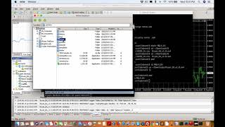 How to install EA on XM forex Metatrader MT4 Mac edition [upl. by Ajdan31]