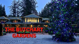 The Butchart Gardens Victoria BC  Christmas Lights and Afternoon Tea [upl. by Assirialc]