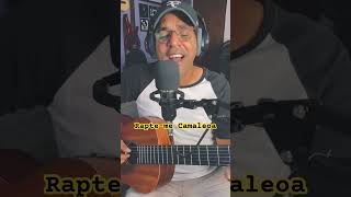 Rapteme Camaleoa  Caetano Veloso shortsvideo musica mpb shortvideo violão [upl. by Meece]