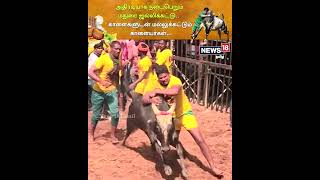 Jallikattu 2023  அதிரடியாக நடைபெறும் மதுரை ஜல்லிக்கட்டு  காளைகளுடன் மல்லுக்கட்டும் காளையர்கள் [upl. by Abert]