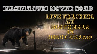 Moyar road Masinagudi forest at sloth bear live night tracking masinagudi mudumalai ooty nilgiri [upl. by Minna]