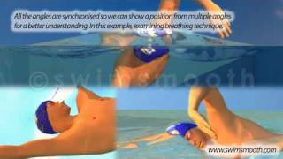 Animated Freestyle Swimming Visualisation  Mr Smooth [upl. by Ahsienroc80]