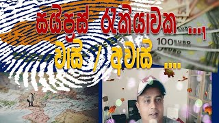 What are the pros and cons working in cyprus  workers in cyprus  clear explanation in Sinhala 2021 [upl. by Ahsenev688]