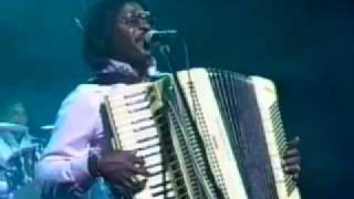 Buckwheat Zydeco  Creole Country  1989 [upl. by Nylssej]