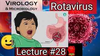 reovirus reovirus replication reovirus family rotavirus rotavirus microbiologyrotavirus vaccine [upl. by Wernick]