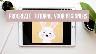 Procreate Tips amp Tricks voor beginners  Tutorial  Nederlands [upl. by Eniotna814]