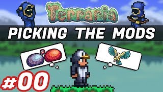 Which Terraria Mods are the best [upl. by Loredo]