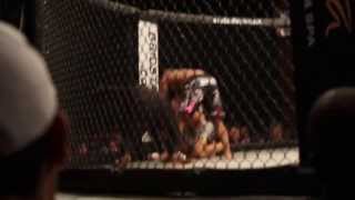 Jonavin Webb vs Aung La N Sang CFFC 28  TKO Finish [upl. by Barayon146]