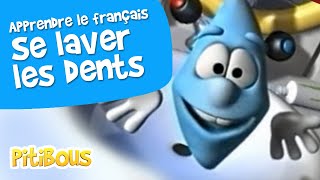 Apprendre à bien se brosser les dents  les Pitibous  Français [upl. by Nrek25]