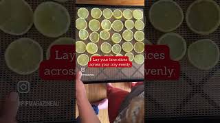 How to dehydrate lemons or limes [upl. by Allistir]