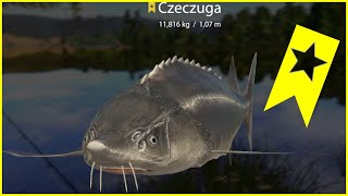 Russian Fishing 4  SURA RIVER  Trophy Sterlet Czeczuga  SPOT RF4 [upl. by Amahs]