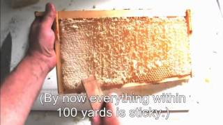 Three Simple Ways To Process Honey [upl. by Nomis375]