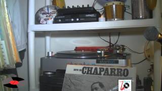 Chaparro Ololiuqui [upl. by Walt]