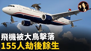 【美國1549空難】航空史上的奇蹟，飛機被大鳥擊落，機長做出驚人決定在水面迫降，208秒救回了155人哈德遜奇蹟 [upl. by Enyala]