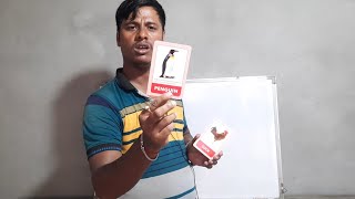 Identification of different birds by flash cards  ফ্ল্যাশ কার্ডের মাধ্যমে বিভিন্ন পাখির পরিচয়। [upl. by Elayor]