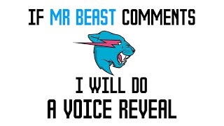 If Mr Beast Comments I will do real VOICE REVEAL [upl. by Walcoff987]