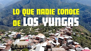 LA RUTA DE LA INDEPENDENCIA EN LOS YUNGAS  Muy Interesante Turismo e Historia [upl. by Miksen820]