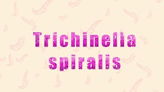 4 Trichinella spiralis الشعرينة الحلزونية [upl. by Anolahs]