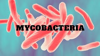 Third Episode Mycobacteria [upl. by Lorie]