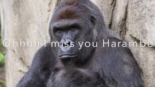 Harambe Tribute Song FilthyFrankTv Lyric Video [upl. by Nylarac628]