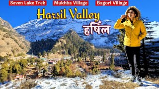 HARSIL  Harsil Valley Uttarakhand  Harsil in Winter  Places To Visit  Mukhba  Sapttal  Bagori [upl. by Fording]