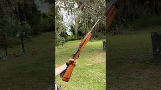 Shooting this M1 Carbine 30 [upl. by Ientruoc]