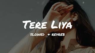 Tere Liya of LoFi Song quotSlowedReverb song use headphone [upl. by Tenney]