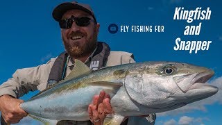 Saltwater Fly Fishing for Kingfish and Snapper in Aucklands Waitemata Harbour [upl. by Lanta]