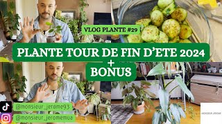 VLOG PLANTE N°29  quotPLANTE TOURquot DE FIN DETE 2024  BONUS [upl. by Trebloc6]