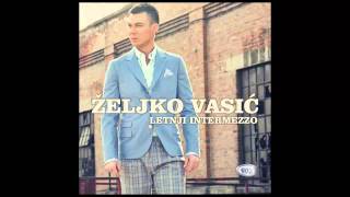 Zeljko Vasic  Zauvek  Audio 2013 HD [upl. by Olpe]