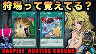 ハーピィの狩場、意外とありかもしれない件【遊戯王デュエルリンクス実況＃239】【YuGiOh Duel Links】 [upl. by Githens]