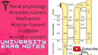 countercurrent mechanismcountercurrent multipliercountercurrent exchanger [upl. by Sonnnie]