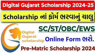 Digital Gujarat Scholarship 202425  Online Form Date 2024  PreMatric Scholarship SCSTOBCEWS [upl. by Aennyl]