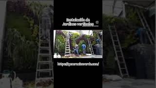 Instalación de Jardín Vertical [upl. by Atnes]