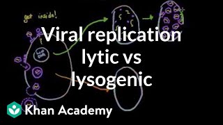 Viral replication lytic vs lysogenic  Cells  MCAT  Khan Academy [upl. by Harvie]