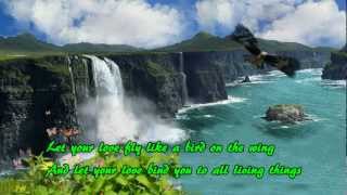 Let Your Love Flow  Bellamy Brothers Lyrics [upl. by Naihtsirc]