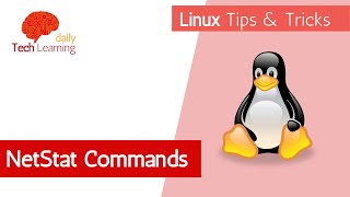 Netstat Command  Tips and Tricks  Linux Videos [upl. by Reeva]