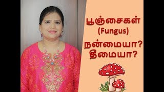 Introduction to Fungus in Tamil [upl. by Cannice]