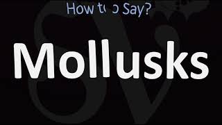 How to Pronounce Mollusks CORRECTLY [upl. by Sadella]