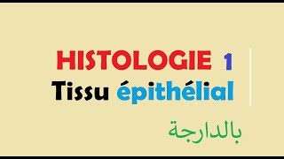 cours HISTOLOGIE Ep 1  Tissu épithélial [upl. by Cyndi]