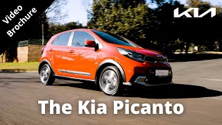 2023 Kia Picanto X Line  The Ultimate City Car [upl. by Mureil]