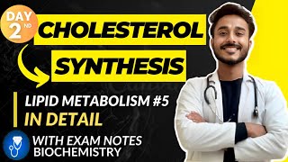 cholesterol metabolism biochemistry  cholesterol biochemistry  cholesterol synthesis pathway [upl. by Adnowat]