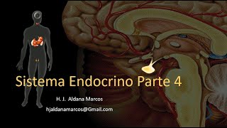 Glándulas endocrinas Hipófisis o pituitaria Parte 4 de 7 Hernán Aldana Marcos [upl. by Noryahs326]