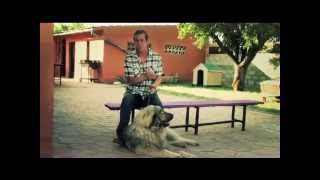 BORJA CAPPONI ACADEMY CAUCASIAN DOG TRAINING [upl. by Rita]